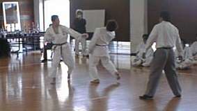 bt1.jpg (8KB) �������̉摜